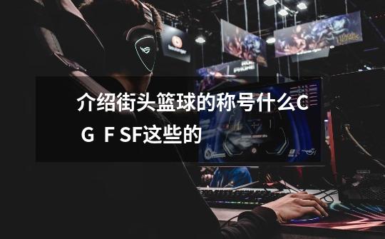 介绍街头篮球的称号什么C G  F SF这些的-第1张-游戏信息-龙启网
