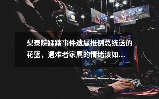 梨泰院踩踏事件遗属推倒总统送的花篮,遇难者家属的情绪该如何抚平-第1张-游戏信息-龙启网