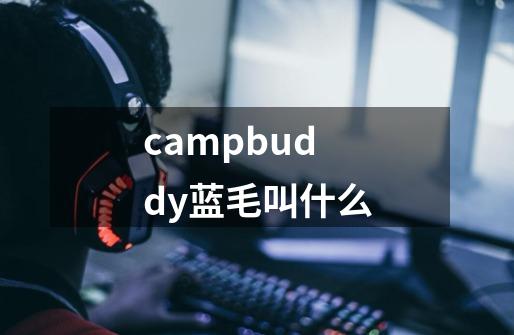 campbuddy蓝毛叫什么-第1张-游戏信息-龙启网