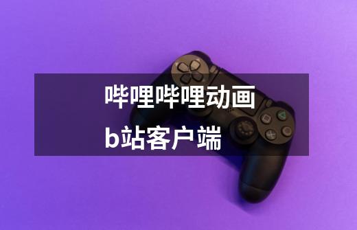 哔哩哔哩动画b站客户端-第1张-游戏信息-龙启网