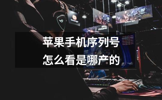 苹果手机序列号怎么看是哪产的-第1张-游戏信息-龙启网