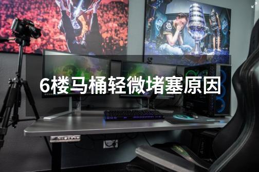 6楼马桶轻微堵塞原因-第1张-游戏信息-龙启网