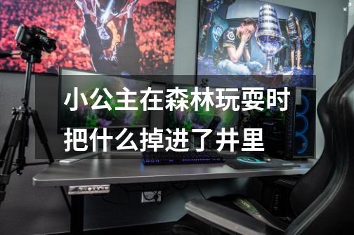 小公主在森林玩耍时把什么掉进了井里-第1张-游戏信息-龙启网