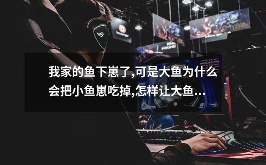 我家的鱼下崽了,可是大鱼为什么会把小鱼崽吃掉,怎样让大鱼们不吃...-第1张-游戏信息-龙启网