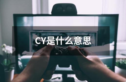 CY是什么意思-第1张-游戏信息-龙启网