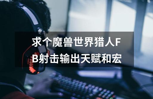 求个魔兽世界猎人FB射击输出天赋和宏-第1张-游戏信息-龙启网