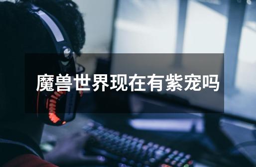 魔兽世界现在有紫宠吗-第1张-游戏信息-龙启网