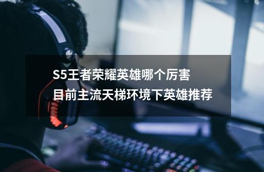 S5王者荣耀英雄哪个厉害 目前主流天梯环境下英雄推荐-第1张-游戏信息-龙启网