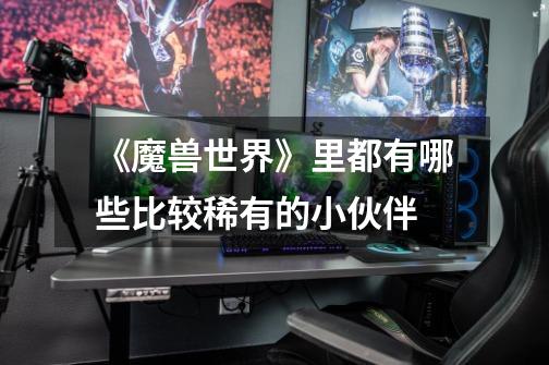 《魔兽世界》里都有哪些比较稀有的小伙伴-第1张-游戏信息-龙启网