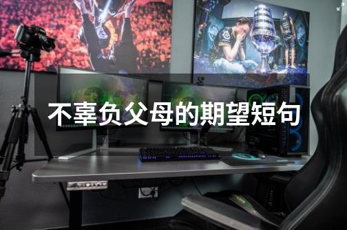 不辜负父母的期望短句-第1张-游戏信息-龙启网