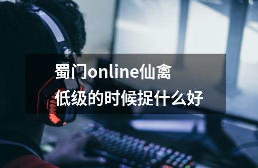 蜀门online仙禽低级的时候捉什么好-第1张-游戏信息-龙启网