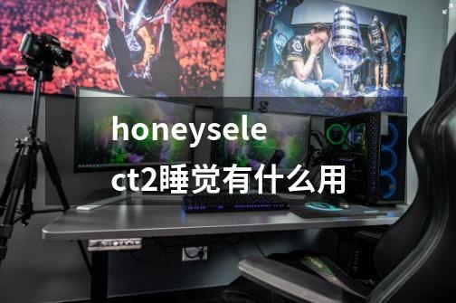 honeyselect2睡觉有什么用-第1张-游戏信息-龙启网