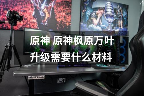 原神 原神枫原万叶升级需要什么材料-第1张-游戏信息-龙启网