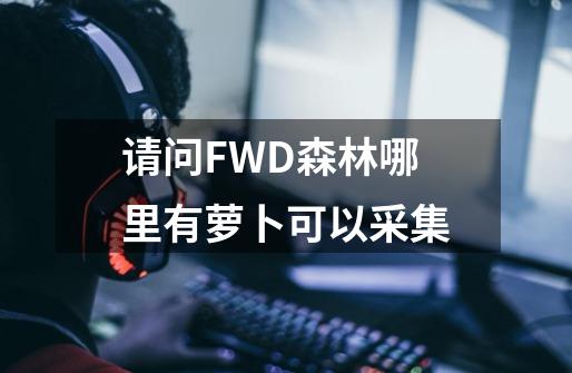 请问FWD森林哪里有萝卜可以采集-第1张-游戏信息-龙启网