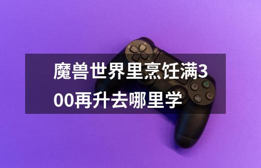 魔兽世界里烹饪满300再升去哪里学-第1张-游戏信息-龙启网