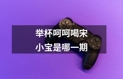 举杯呵呵喝宋小宝是哪一期-第1张-游戏信息-龙启网