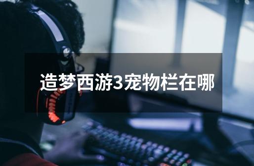造梦西游3宠物栏在哪-第1张-游戏信息-龙启网