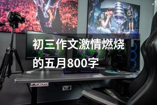 初三作文激情燃烧的五月800字-第1张-游戏信息-龙启网