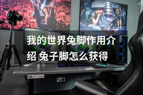 我的世界兔脚作用介绍 兔子脚怎么获得-第1张-游戏信息-龙启网
