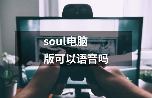 soul电脑版可以语音吗-第1张-游戏信息-龙启网