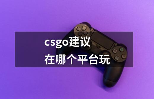 csgo建议在哪个平台玩-第1张-游戏信息-龙启网