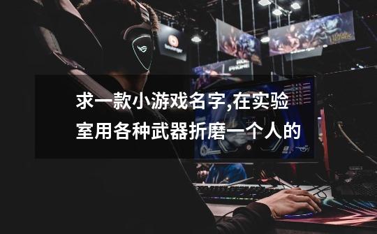 求一款小游戏名字,在实验室用各种武器折磨一个人的-第1张-游戏信息-龙启网