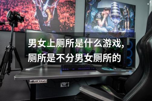 男女上厕所是什么游戏,厕所是不分男女厕所的-第1张-游戏信息-龙启网