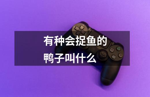 有种会捉鱼的鸭子叫什么-第1张-游戏信息-龙启网