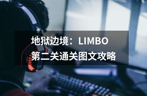 地狱边境:LIMBO第二关通关图文攻略-第1张-游戏信息-龙启网
