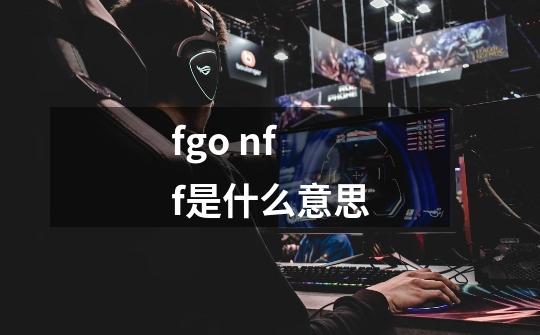 fgo nff是什么意思-第1张-游戏信息-龙启网