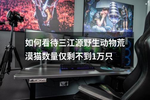 如何看待三江源野生动物荒漠猫数量仅剩不到1万只-第1张-游戏信息-龙启网