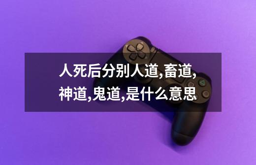 人死后分别人道,畜道,神道,鬼道,是什么意思-第1张-游戏信息-龙启网