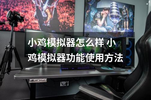 小鸡模拟器怎么样 小鸡模拟器功能使用方法-第1张-游戏信息-龙启网