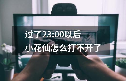 过了23:00以后小花仙怎么打不开了-第1张-游戏信息-龙启网