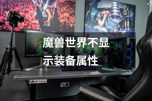 魔兽世界不显示装备属性-第1张-游戏信息-龙启网