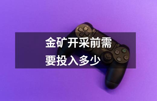金矿开采前需要投入多少-第1张-游戏信息-龙启网