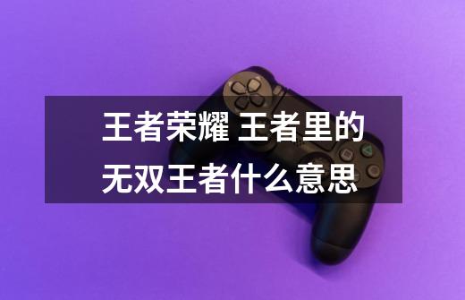 王者荣耀 王者里的无双王者什么意思-第1张-游戏信息-龙启网