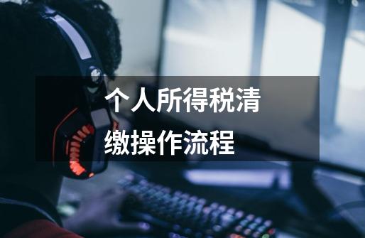 个人所得税清缴操作流程-第1张-游戏信息-龙启网