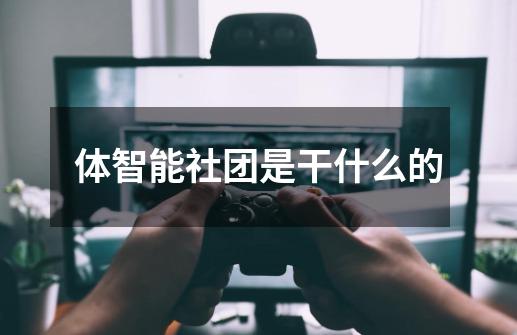 体智能社团是干什么的-第1张-游戏信息-龙启网