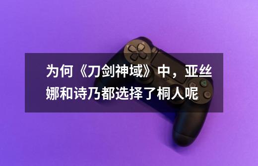 为何《刀剑神域》中,亚丝娜和诗乃都选择了桐人呢-第1张-游戏信息-龙启网