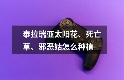 泰拉瑞亚太阳花、死亡草、邪恶姑怎么种植-第1张-游戏信息-龙启网