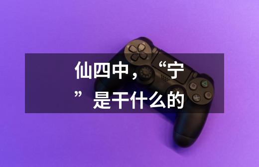 仙四中,“宁”是干什么的-第1张-游戏信息-龙启网