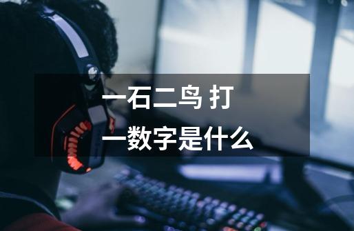 一石二鸟 打一数字是什么-第1张-游戏信息-龙启网