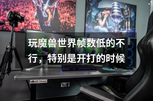 玩魔兽世界帧数低的不行,特别是开打的时候-第1张-游戏信息-龙启网