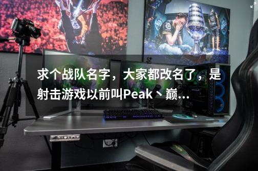 求个战队名字，大家都改名了，是射击游戏以前叫Peak丶巅峰，游戏里有个叫巅峰的挂队。所以，求Peak丶什么-第1张-游戏信息-龙启网
