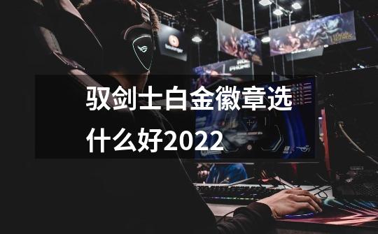 驭剑士白金徽章选什么好2022-第1张-游戏信息-龙启网