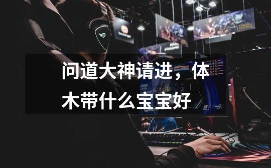 问道大神请进，体木带什么宝宝好-第1张-游戏信息-龙启网