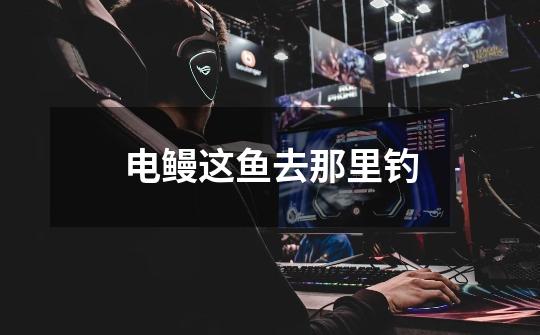 电鳗这鱼去那里钓-第1张-游戏信息-龙启网