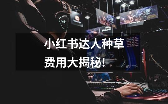 小红书达人种草费用大揭秘!-第1张-游戏信息-龙启网