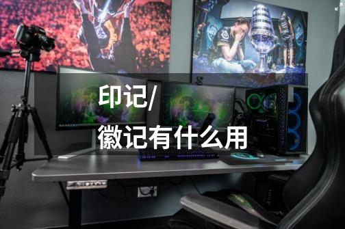 印记/徽记有什么用-第1张-游戏信息-龙启网